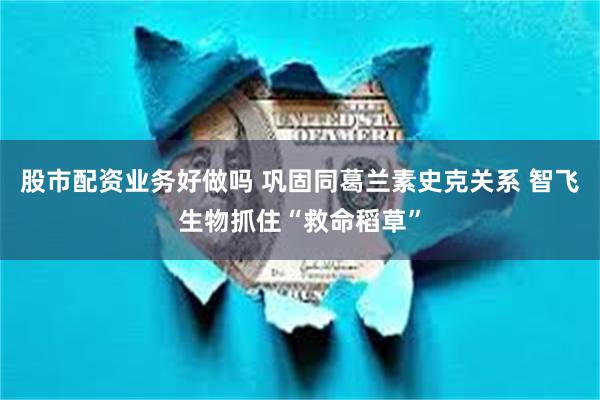 股市配资业务好做吗 巩固同葛兰素史克关系 智飞生物抓住“救命稻草”