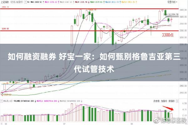 如何融资融券 好宝一家：如何甄别格鲁吉亚第三代试管技术