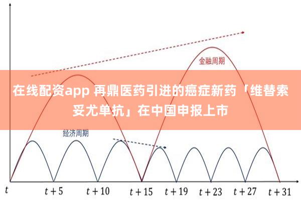 在线配资app 再鼎医药引进的癌症新药「维替索妥尤单抗」在中国申报上市
