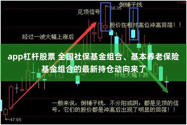 app杠杆股票 全国社保基金组合、基本养老保险基金组合的最新持仓动向来了