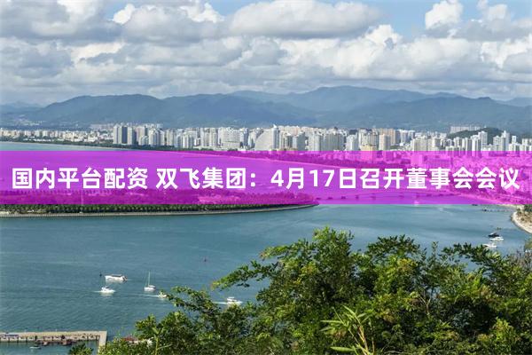 国内平台配资 双飞集团：4月17日召开董事会会议