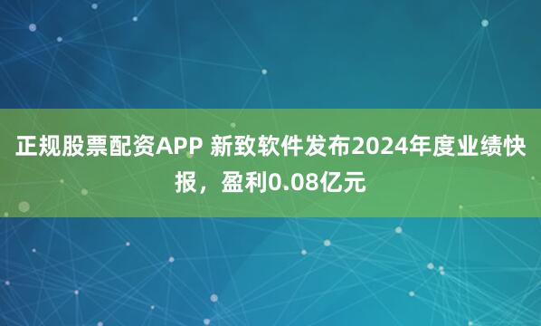 正规股票配资APP 新致软件发布2024年度业绩快报，盈利0.08亿元