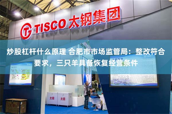 炒股杠杆什么原理 合肥市市场监管局：整改符合要求，三只羊具备恢复经营条件