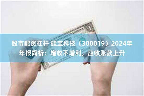 股市配资杠杆 硅宝科技（300019）2024年年报简析：增收不增利，应收账款上升