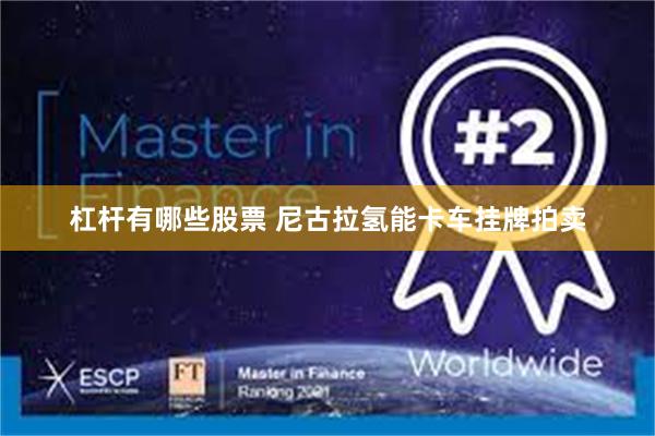 杠杆有哪些股票 尼古拉氢能卡车挂牌拍卖