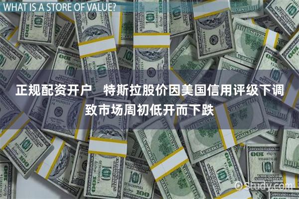正规配资开户   特斯拉股价因美国信用评级下调致市场周初低开而下跌