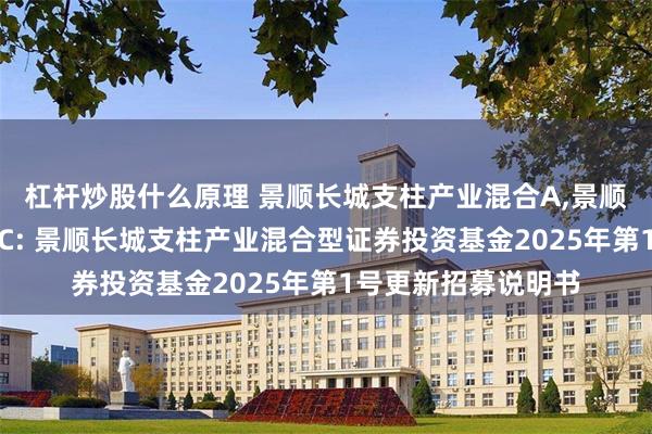 杠杆炒股什么原理 景顺长城支柱产业混合A,景顺长城支柱产业混合C: 景顺长城支柱产业混合型证券投资基金2025年第1号更新招募说明书