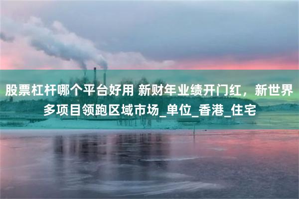 股票杠杆哪个平台好用 新财年业绩开门红，新世界多项目领跑区域市场_单位_香港_住宅