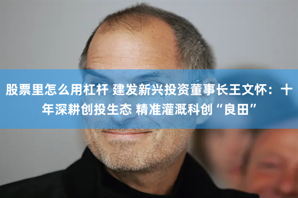 股票里怎么用杠杆 建发新兴投资董事长王文怀：十年深耕创投生态 精准灌溉科创“良田”