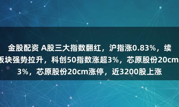 金股配资 A股三大指数翻红，沪指涨0.83%，续创十年新高；半导体板块强势拉升，科创50指数涨超3%，芯原股份20cm涨停，近3200股上涨