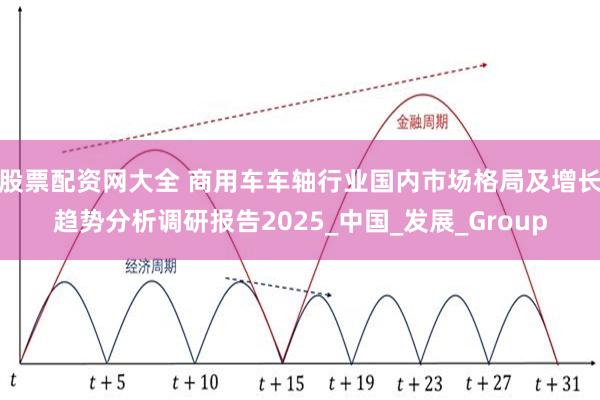 股票配资网大全 商用车车轴行业国内市场格局及增长趋势分析调研报告2025_中国_发展_Group
