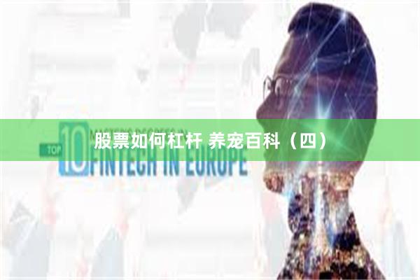 股票如何杠杆 养宠百科(四)