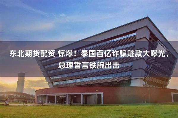 东北期货配资 惊爆!泰国百亿诈骗赃款大曝光,总理誓言铁腕出击