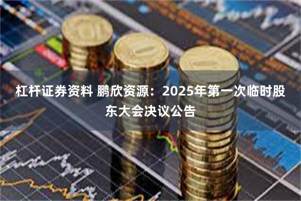 杠杆证券资料 鹏欣资源：2025年第一次临时股东大会决议公告